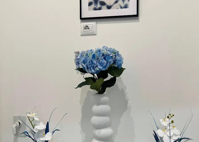 Bolognabyside-rivareno *